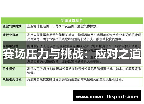 赛场压力与挑战：应对之道
