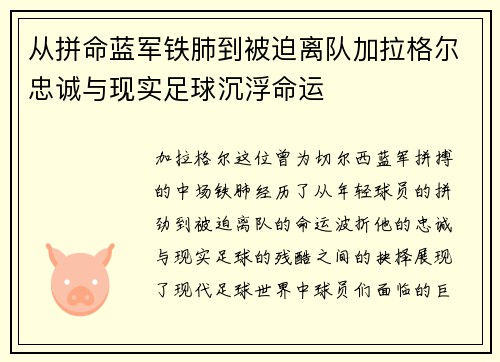 从拼命蓝军铁肺到被迫离队加拉格尔忠诚与现实足球沉浮命运